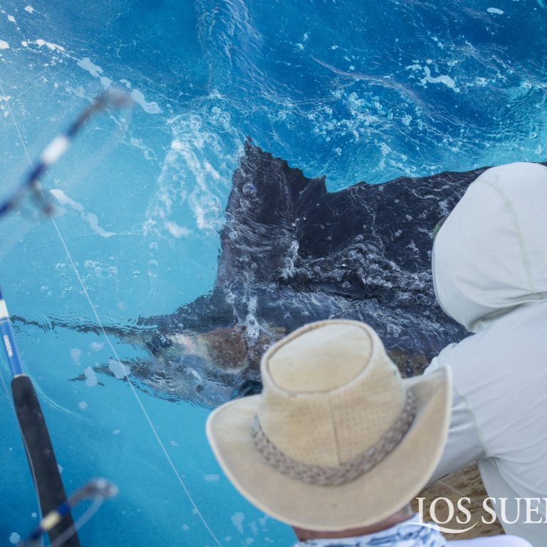 Lossuenos_triplecrown-2019-LEG I-7272-WEB